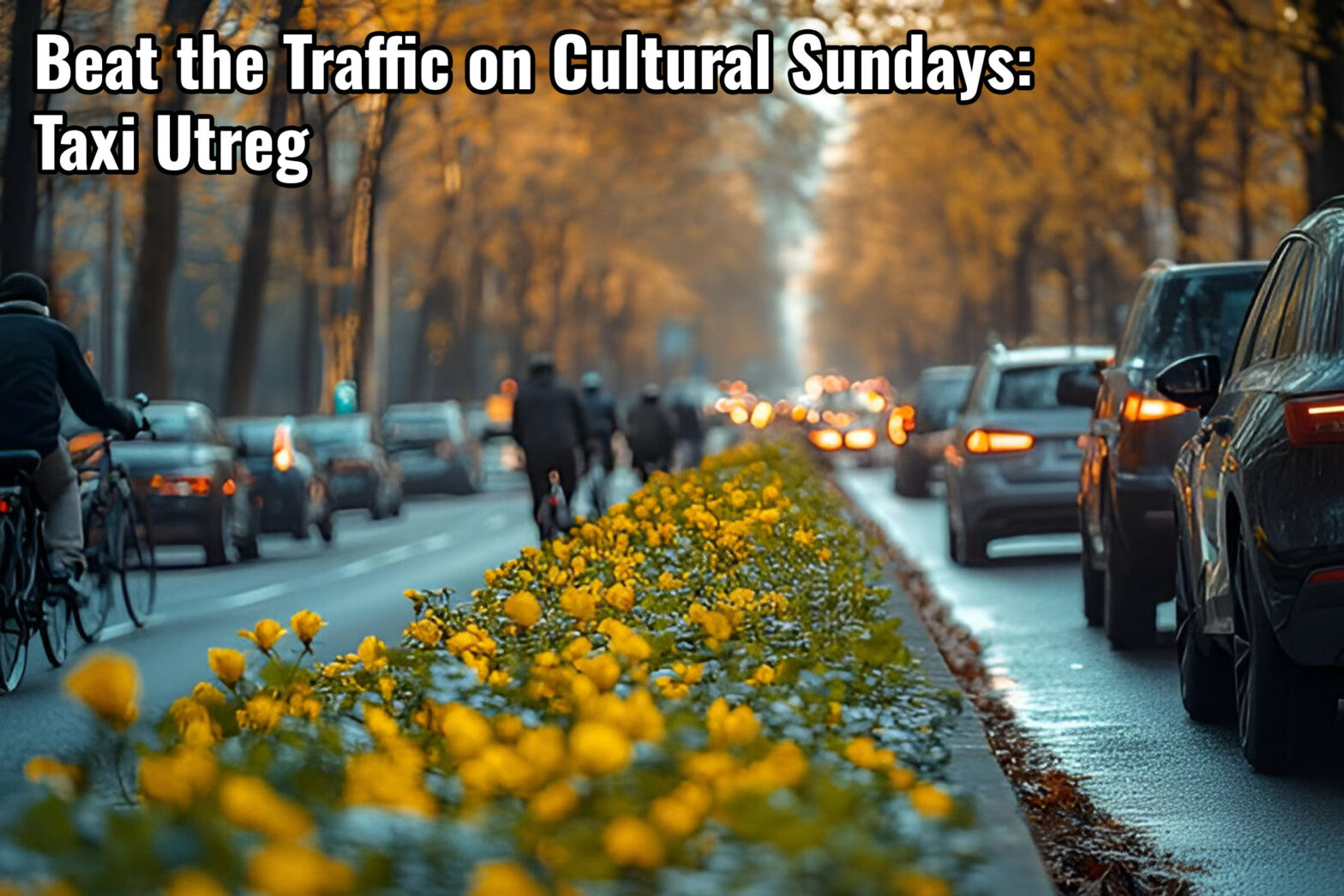 How to Avoid Heavy Traffic During Cultural Sundays? Taxi Utreg Solution